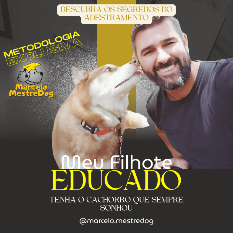 Meu Filhote Educado: O Guia Definitivo para o Adestramento de Cachorro