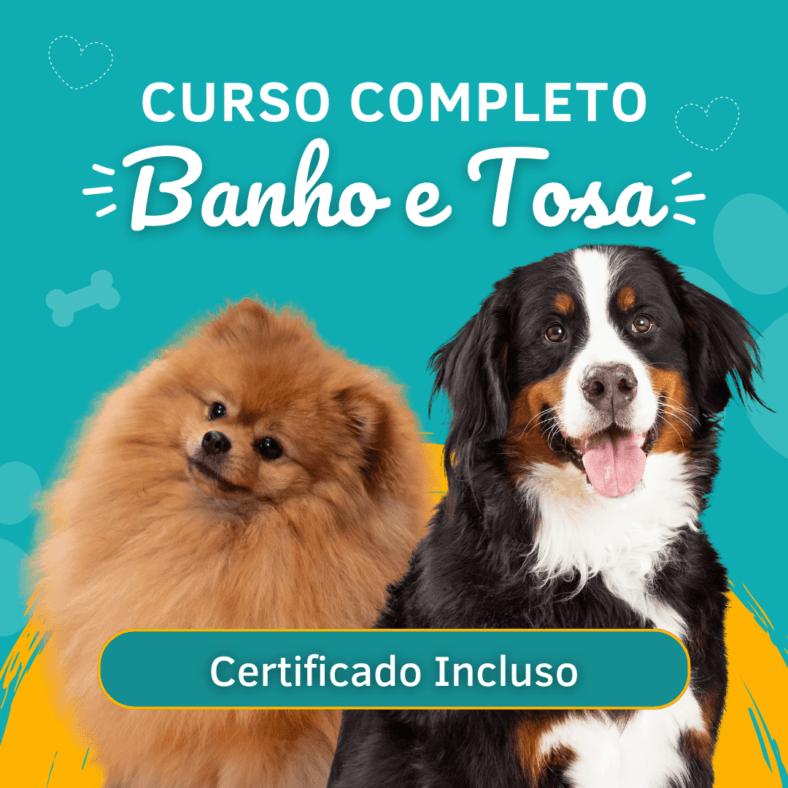 Curso de Banho e Tosa PET PRO: Torne-se um Profissional em um Mercado em Crescimento